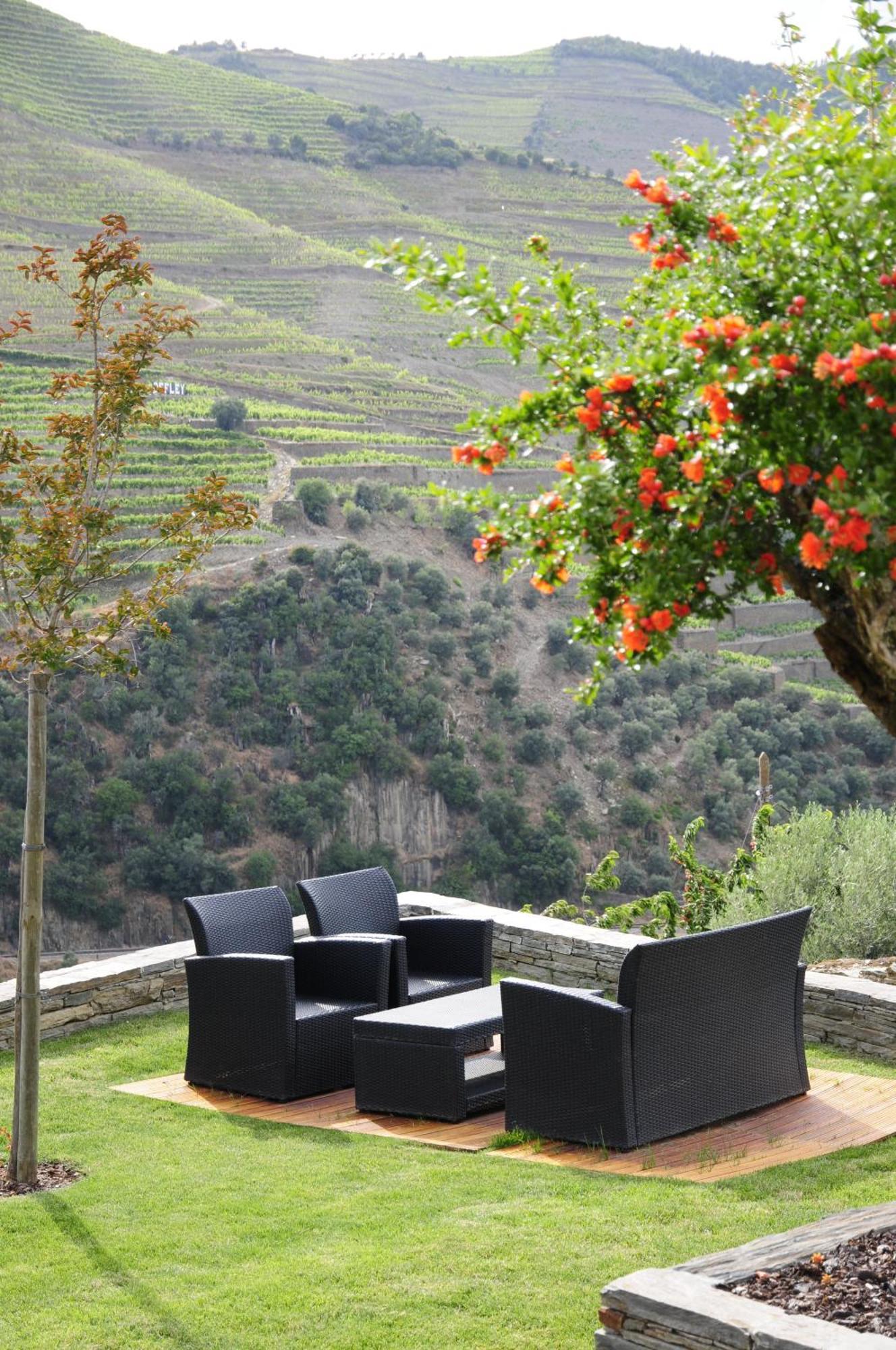 Hotel Rural Quinta Do Pego Tabuaço Exterior foto